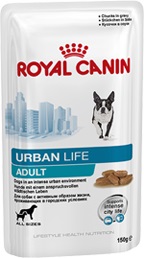 urban-life-adult-wet.jpg