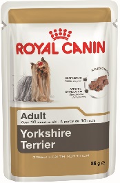 yorkshire-terrier-adult-pashtet.jpg